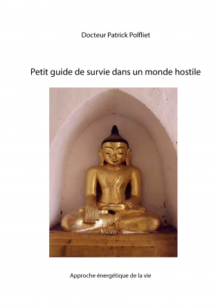 Guide de survie dans un monde hostile