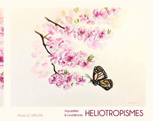 HELIOTROPISMES