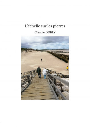 L'échelle sur les pierres