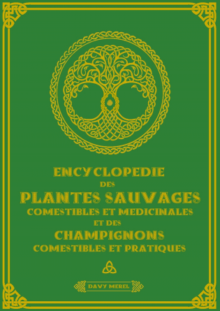 Encyclopédie des plantes sauvages