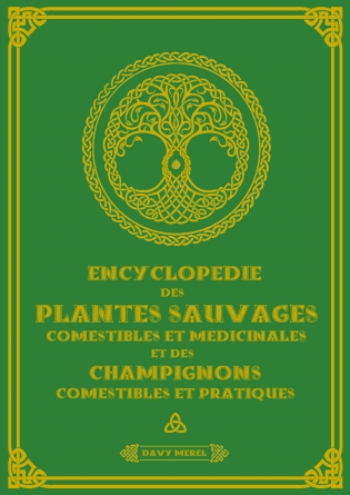 Encyclopédie des plantes sauvages