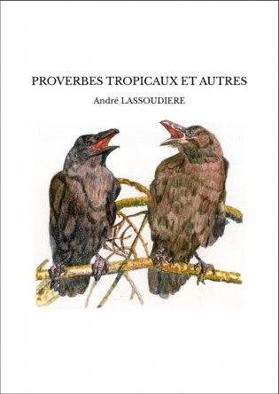 PROVERBES TROPICAUX ET AUTRES