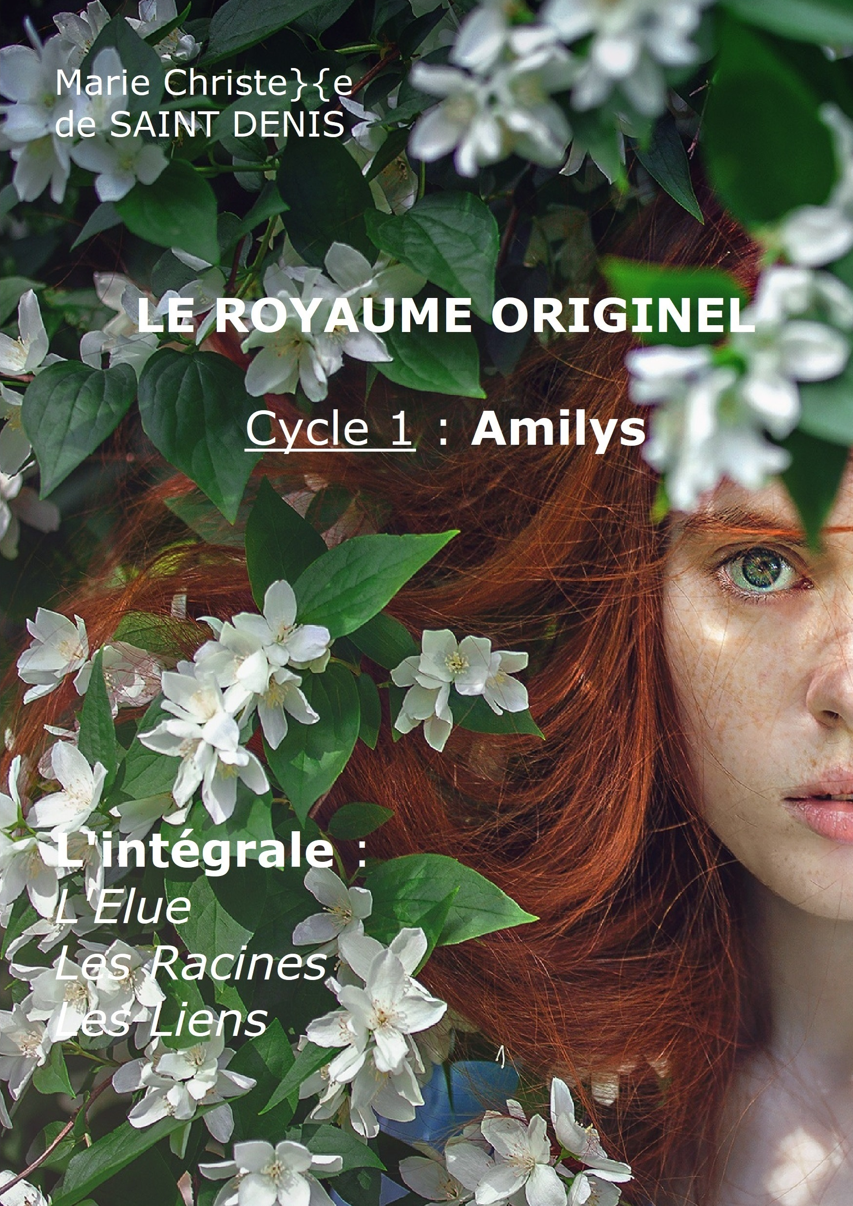 LE ROYAUME ORIGINEL - Cycle I - Amilys