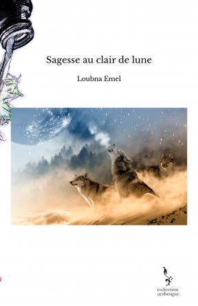 Sagesse au clair de lune