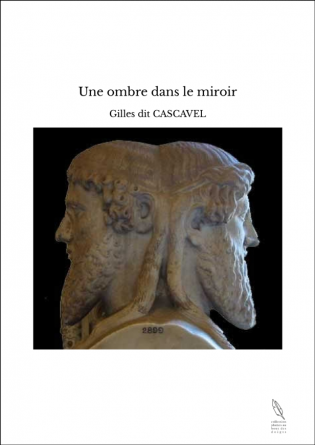 Une ombre dans le miroir