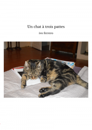 Un chat à trois pattes