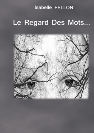 Le Regard Des Mots