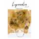 Lupercalia - Livre 2