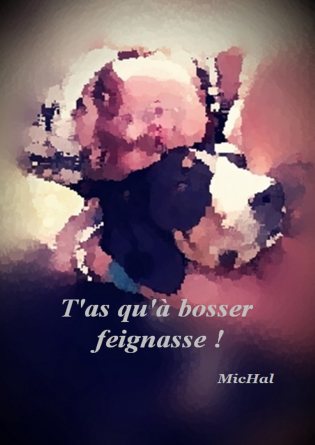 T'as qu'à bosser feignasse!