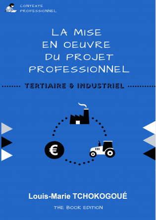 MISE EN OEUVRE DU PROJET PROFESSIONNEL