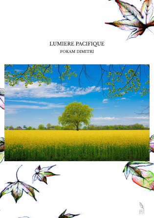 LUMIERE PACIFIQUE