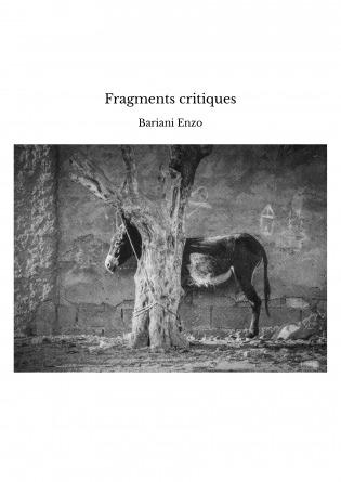 Fragments critiques