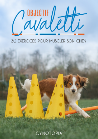 Objectif cavaletti