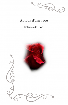 Autour d'une rose