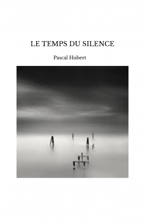 LE TEMPS DU SILENCE