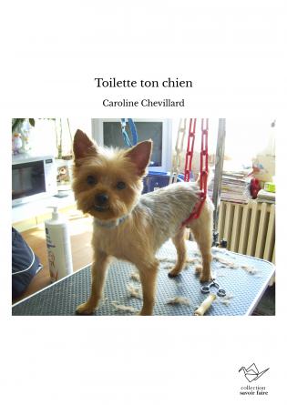 Toilette ton chien