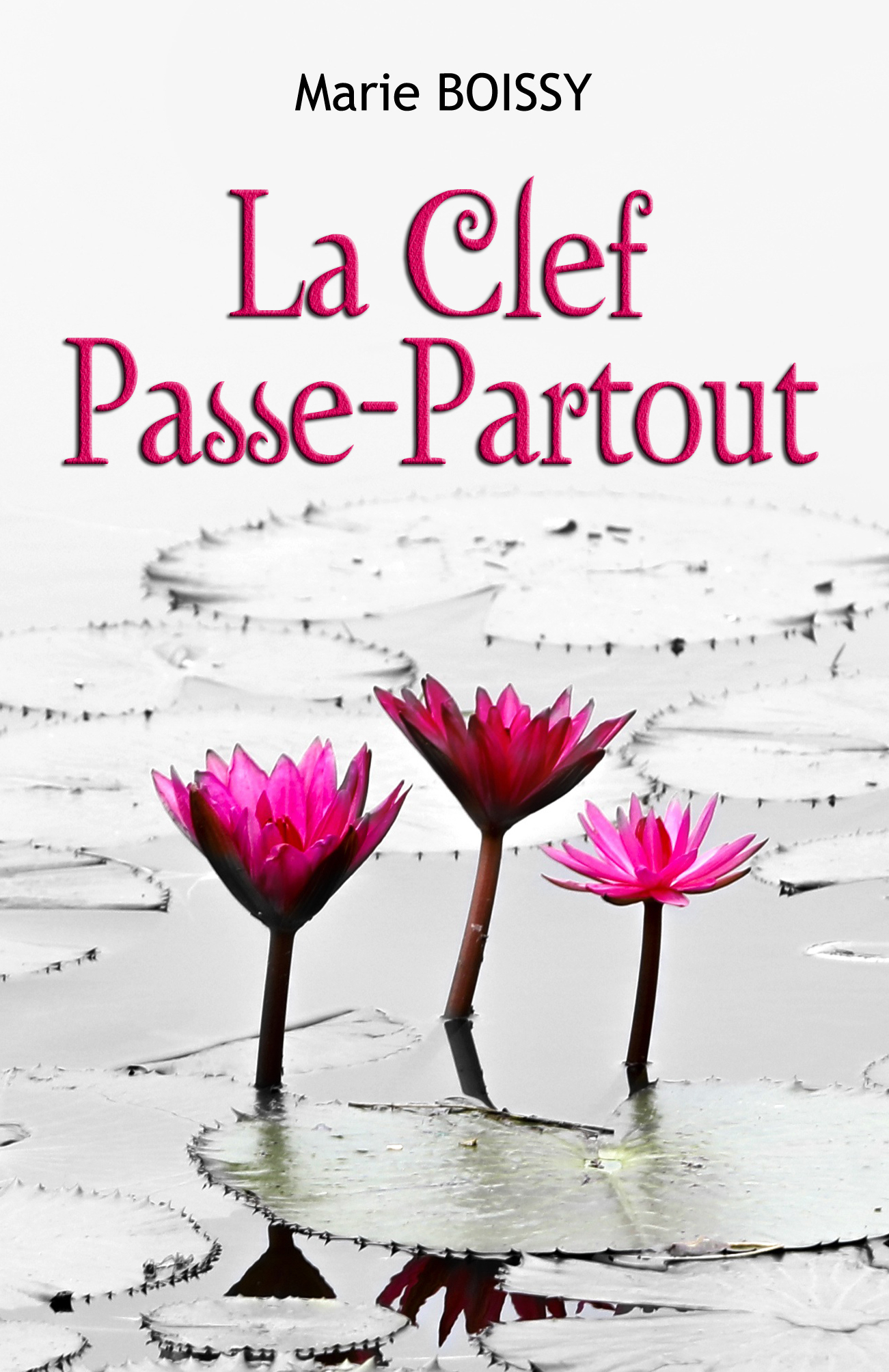 LA CLEF PASSE-PARTOUT