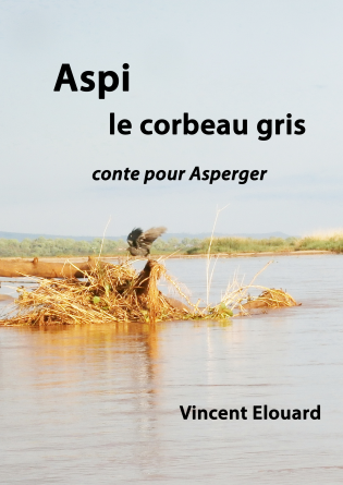 Aspi le corbeau gris