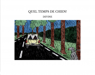 QUEL TEMPS DE CHIEN!