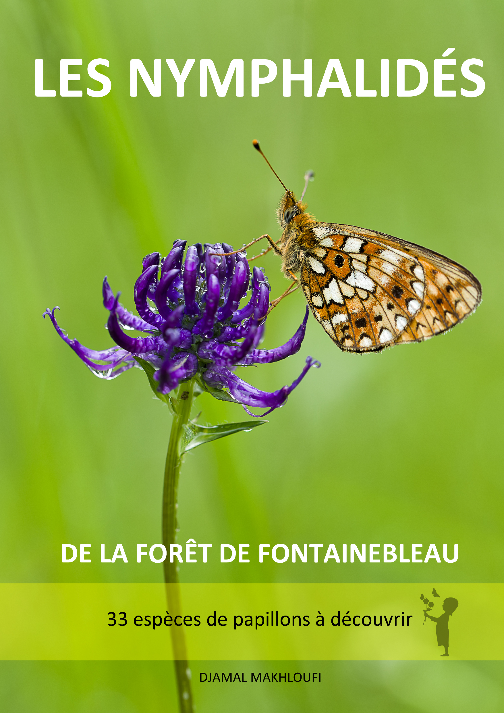 Les Nymphalidés de Fontainebleau