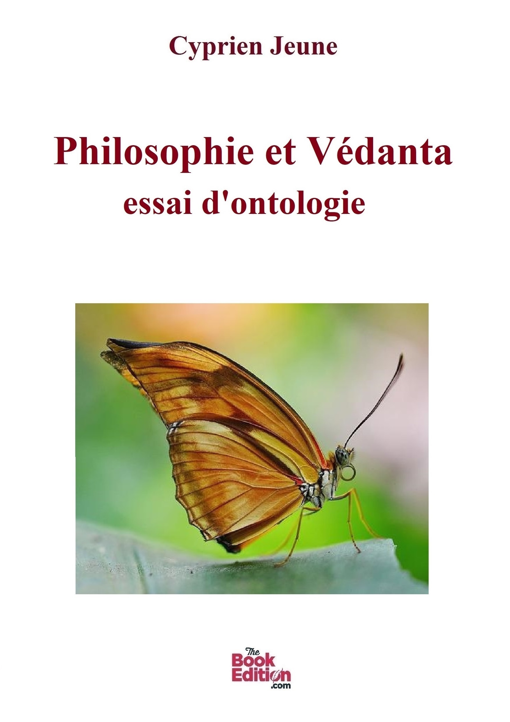 Philosophie et Védanta