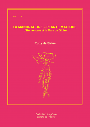 La Mandragore - Plante Magique