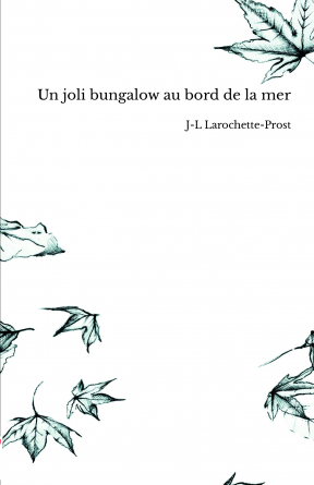 Un joli bungalow au bord de la mer