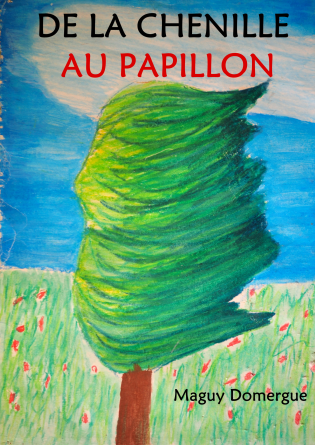 DE LA CHENILLE AU PAPILLON