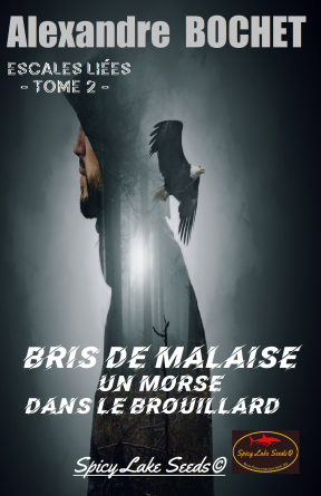 Escales Liées Tome 2 : Bris de Malaise