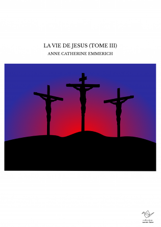 LA VIE DE JESUS (TOME III)