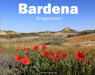 La Bardena Aragonesa