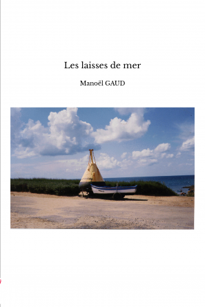 Les laisses de mer