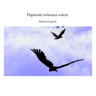 Flipbook corbeaux volent 