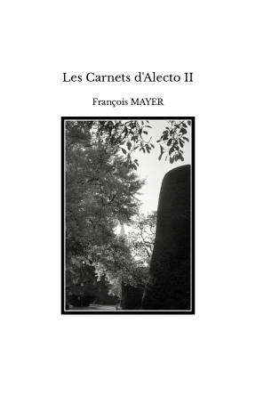 Les Carnets d'Alecto II