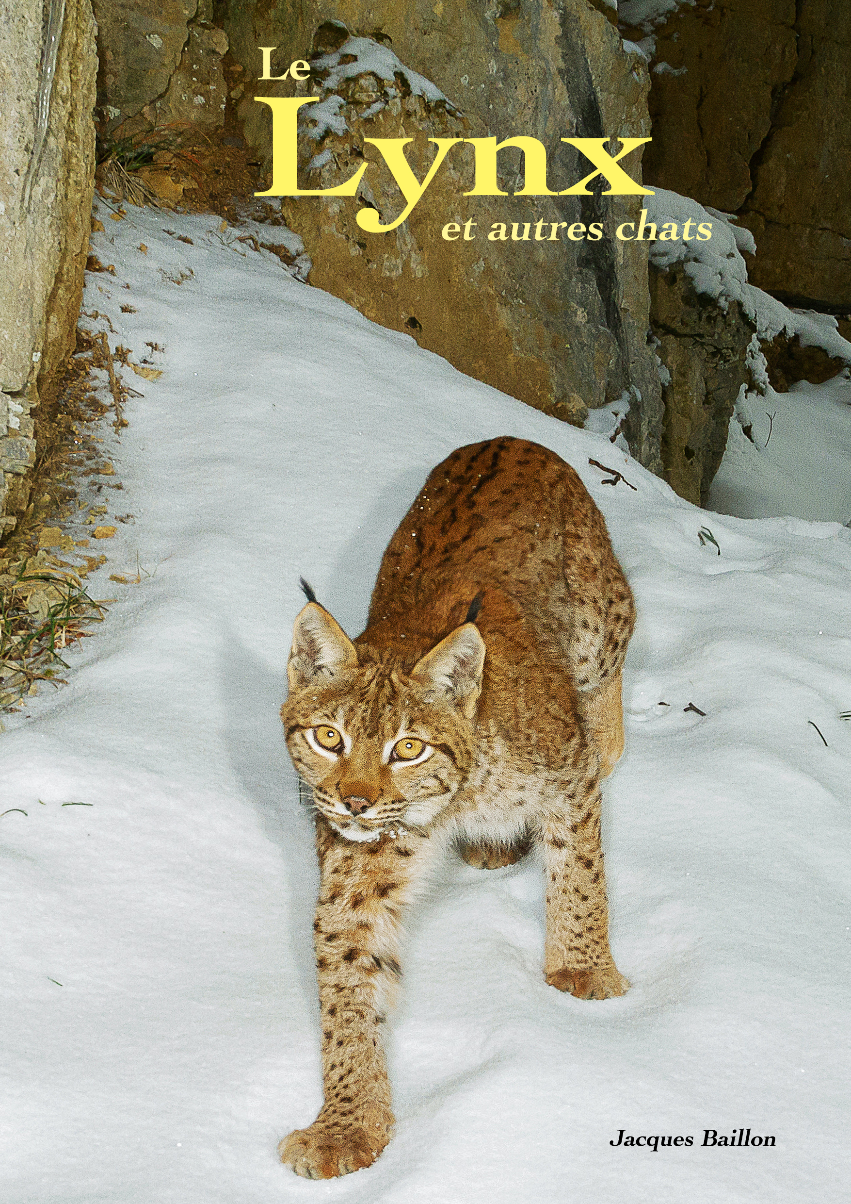 Le Lynx et autres chats