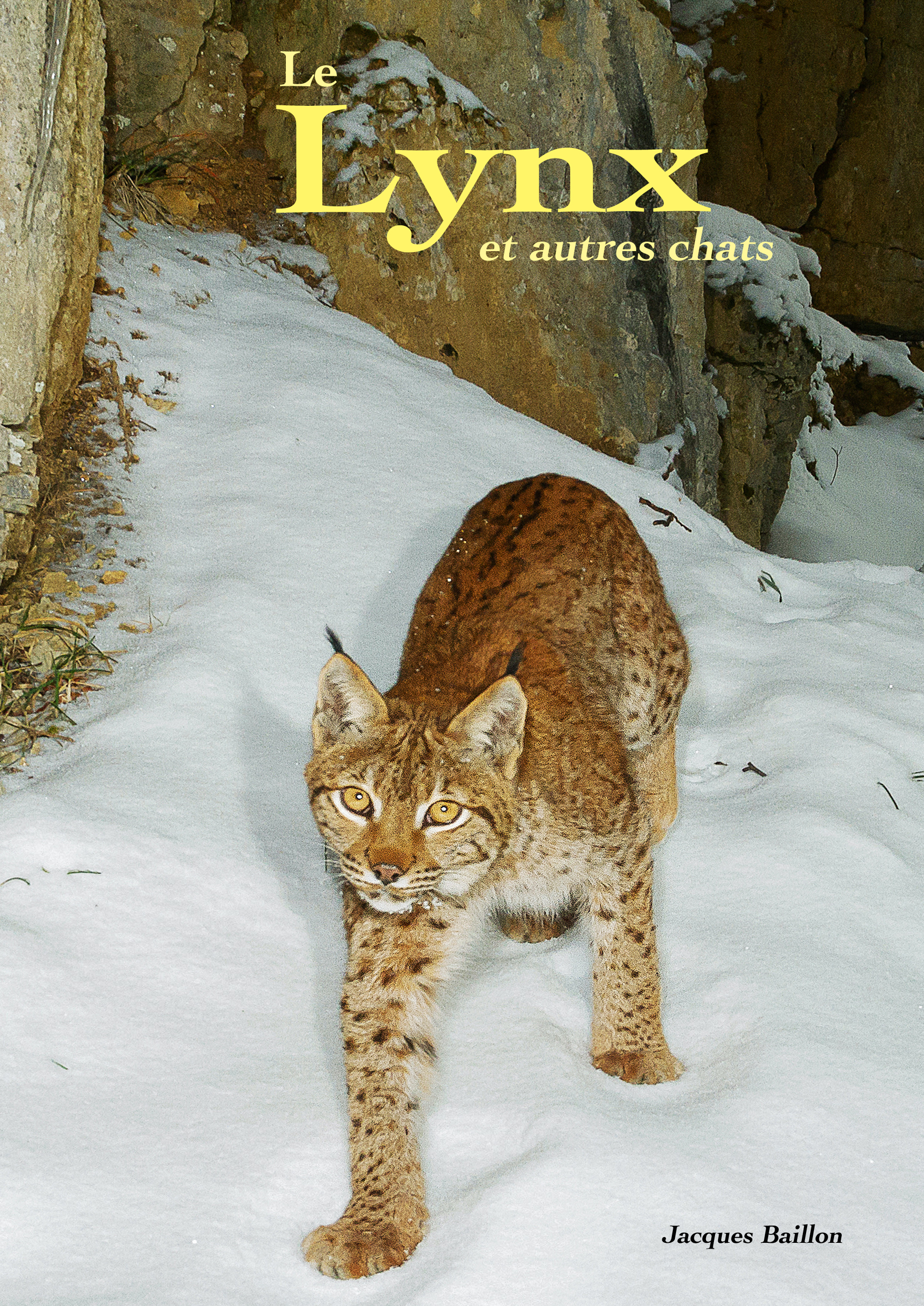 Le lynx