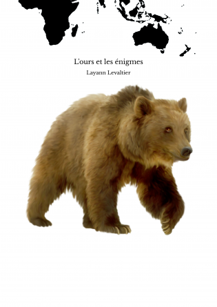 L'ours et les énigmes