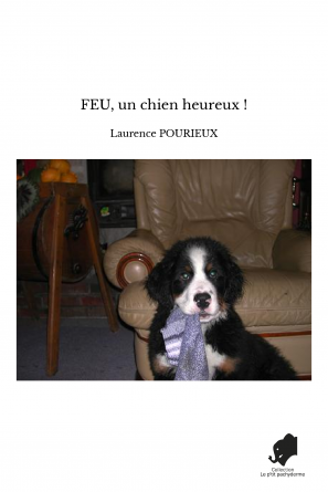 FEU, un chien heureux !