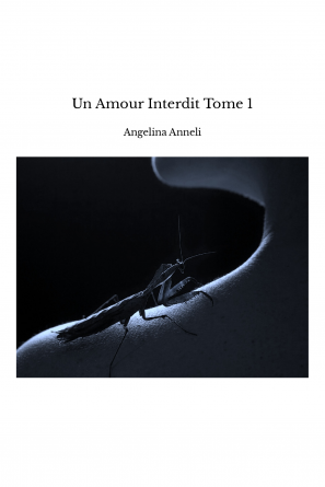 Un Amour Interdit Tome 1