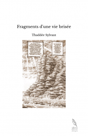 Fragments d'une vie brisée