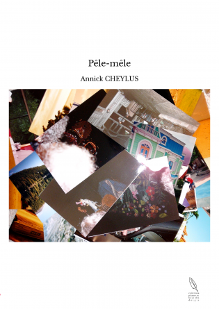 Pêle-mêle