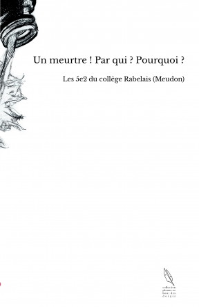 Un meurtre ! Par qui ? Pourquoi ?