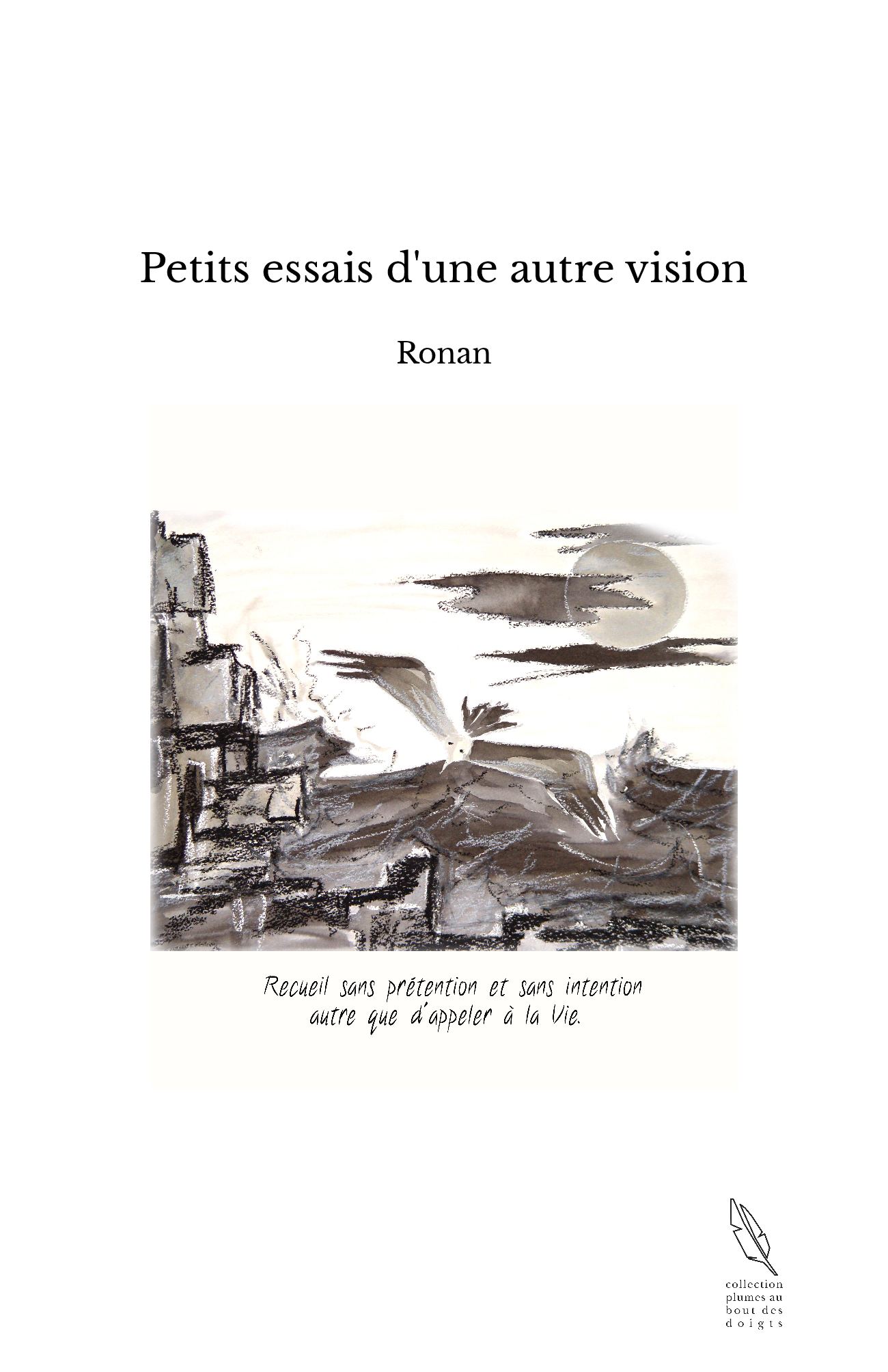Petits essais d'une autre vision
