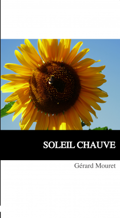 Soleil chauve