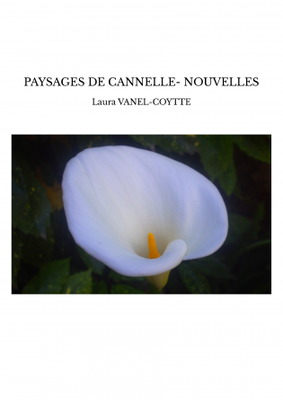 PAYSAGES DE CANNELLE- NOUVELLES