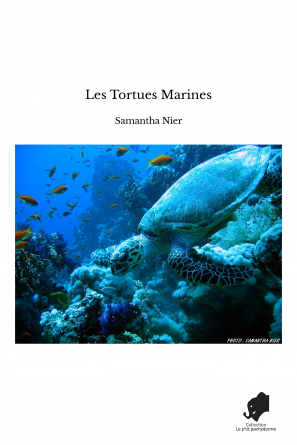 Les Tortues Marines