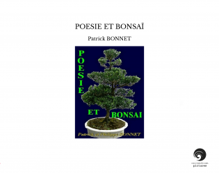 POESIE ET BONSAÏ