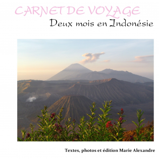 Carnet de voyage Indonésie