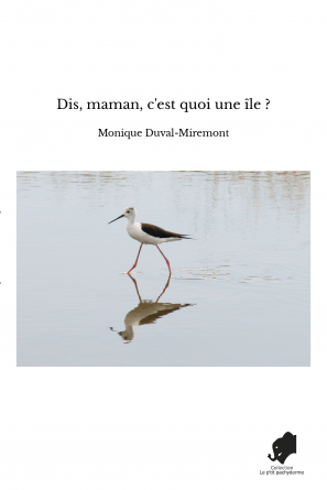 Dis, maman, c'est quoi une île ?