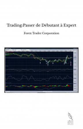 Trading:Passer de Débutant à Expert